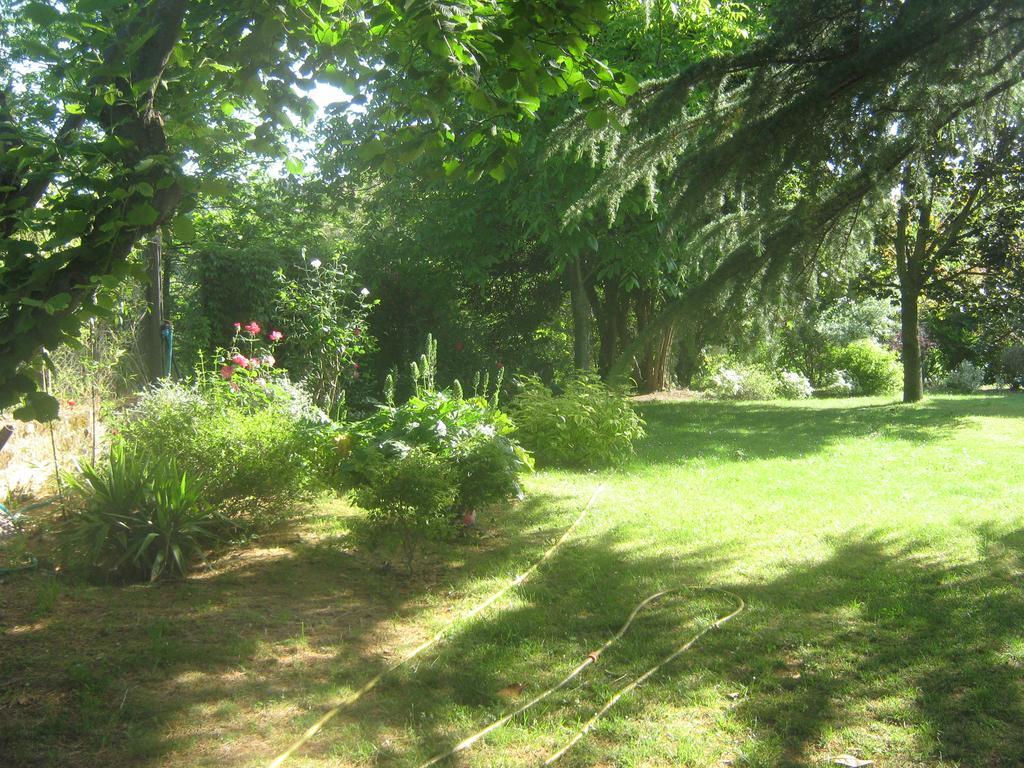 La Villa Di Lucia Viterbo Ruang foto