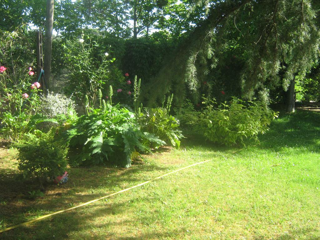 La Villa Di Lucia Viterbo Bagian luar foto
